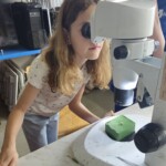 Schülerin am Mikroskop