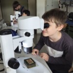 Schüler am Mikroskop